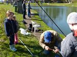 forel vissen harde werkers